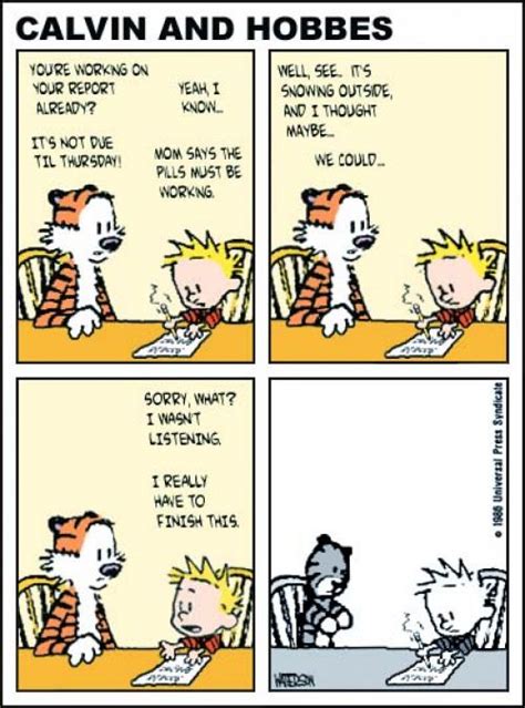 calvin and hobbes the pills are working fake